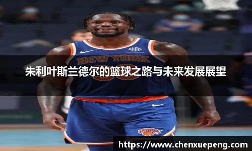 朱利叶斯兰德尔的篮球之路与未来发展展望